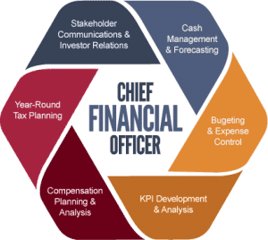 Financial Infographic