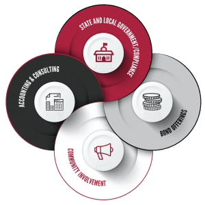 Government Audit and Consulting