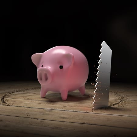 Piggy Bank Deceived